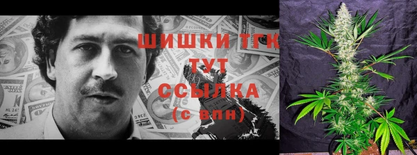 твердый Горнозаводск