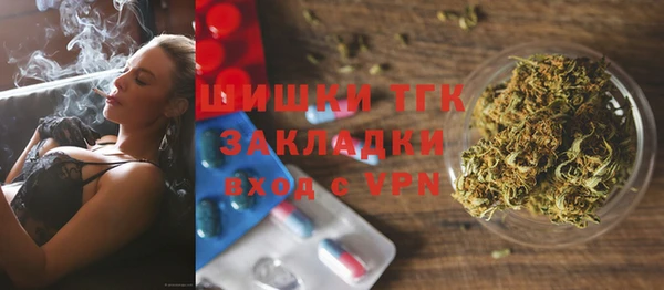 твердый Горнозаводск