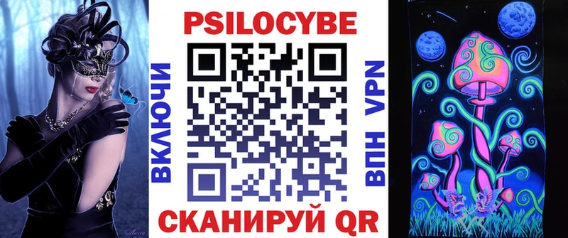 Купить где  Белинский  Псилоцибиновые грибы Cubensis 